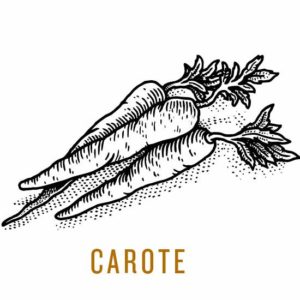 carote