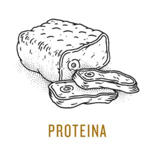 proteina