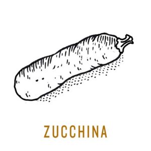 zucchina